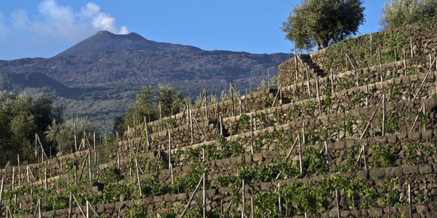 TASCA + ETNA = TASCANTE